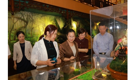 全國婦聯婦女發展部副部長奉朝暉在安惠調研